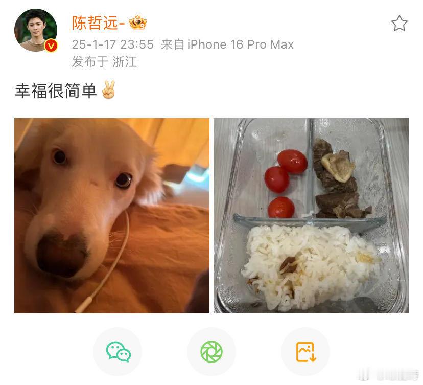 陈哲远做蒜蓉芥末罗氏虾vlog 一直追着陈哲远吃播，现在居然看到他转型当厨子！这