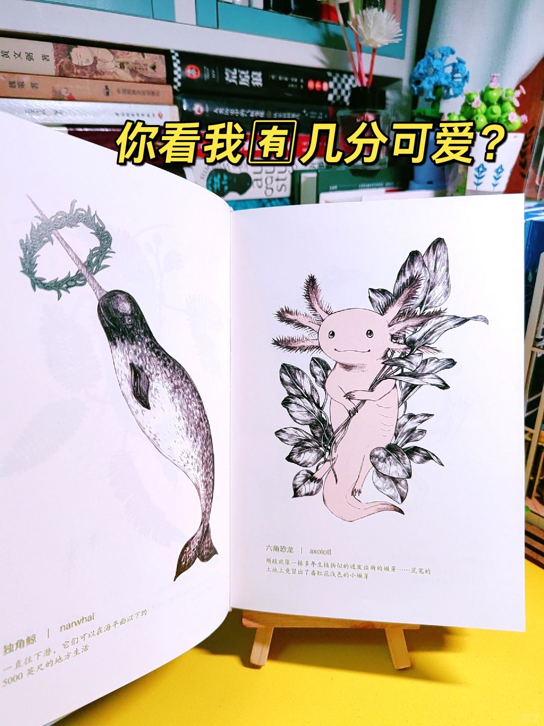 优美别致！让我忍不住读给孩子听！