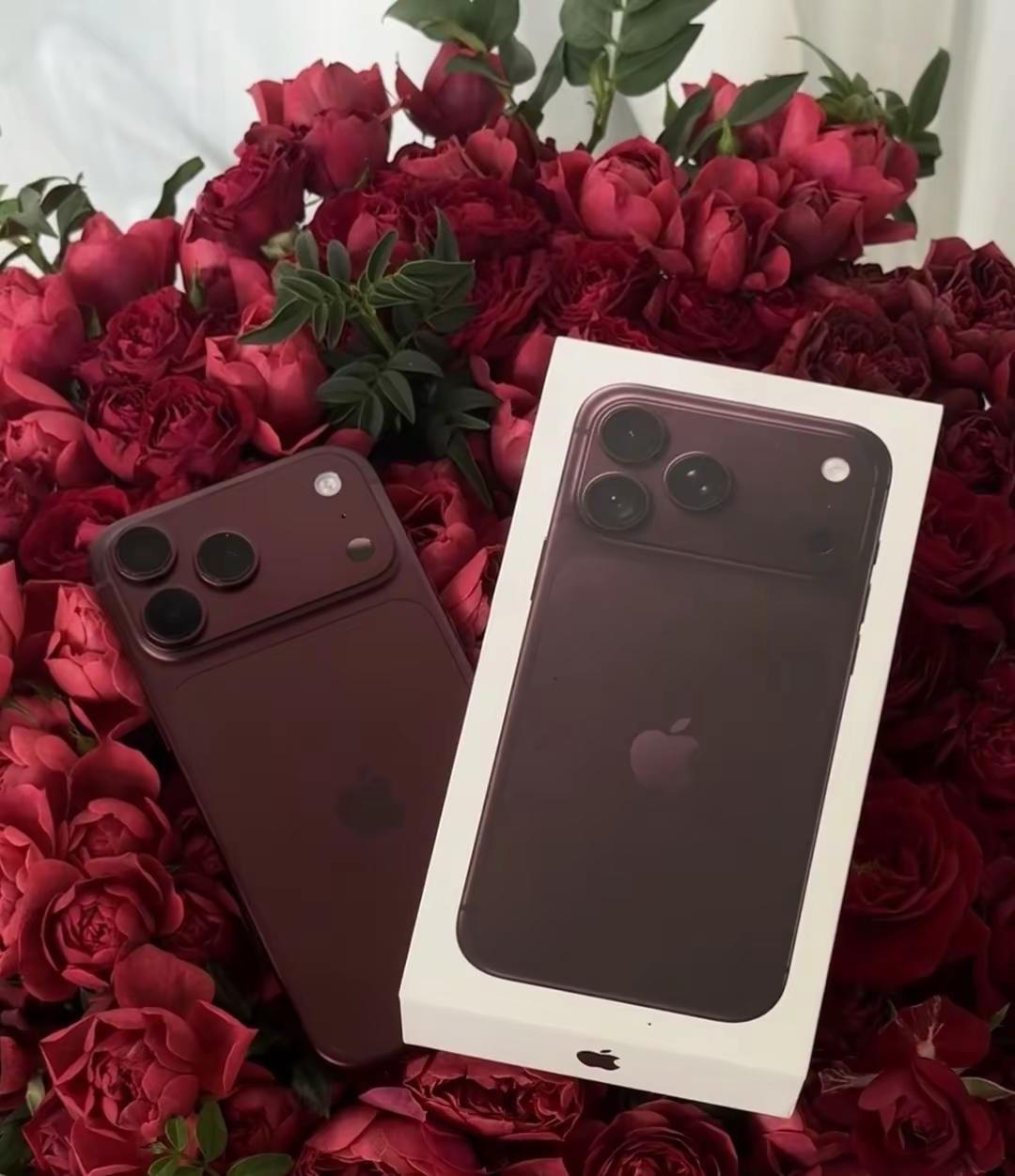 既要一路长虹  又要勃艮第红📱