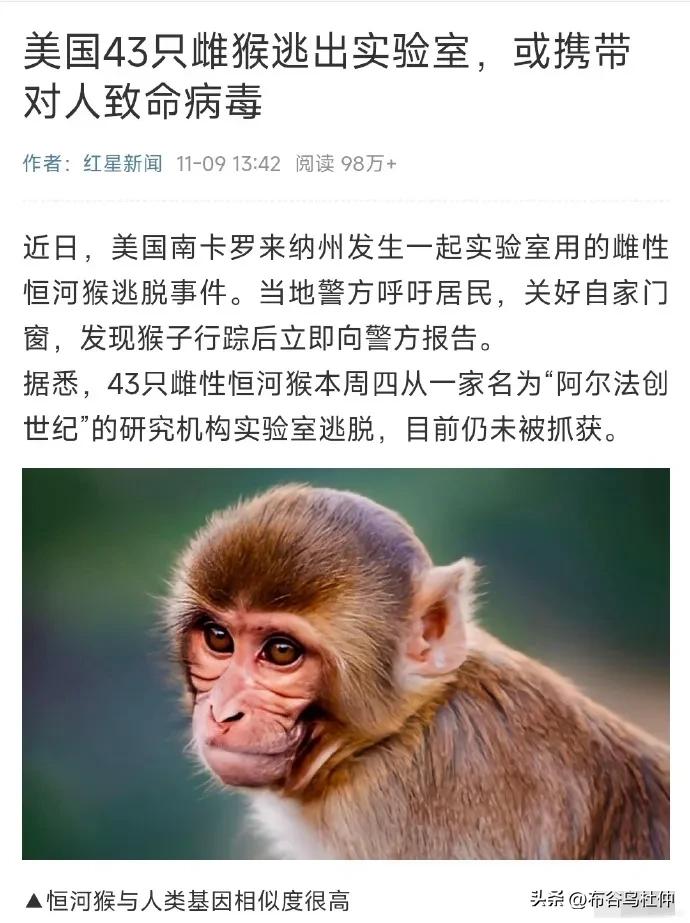 美43只雌猴逃出实验室或携带致命病毒
 
近日，美国南卡罗来纳州发生一起实验室用