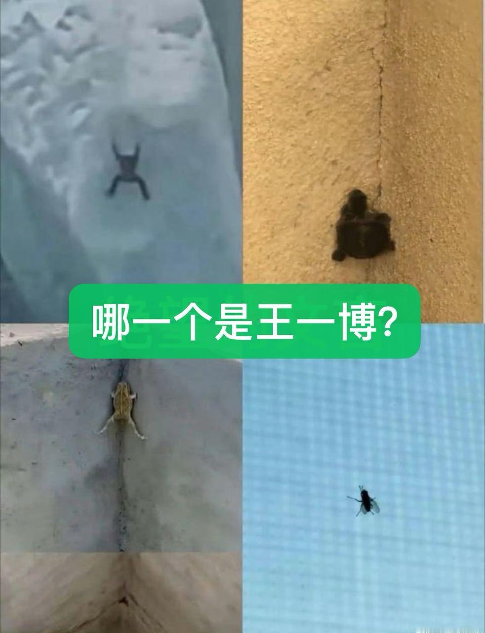当我中午不想吃太多的时候，我的好同担送上了赛博🪰 
