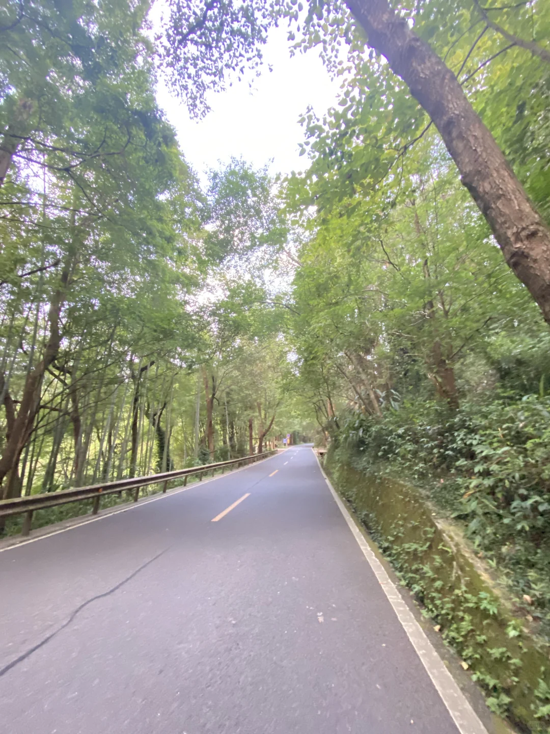 2024峨眉山1个人徒步最新攻略 含时间线