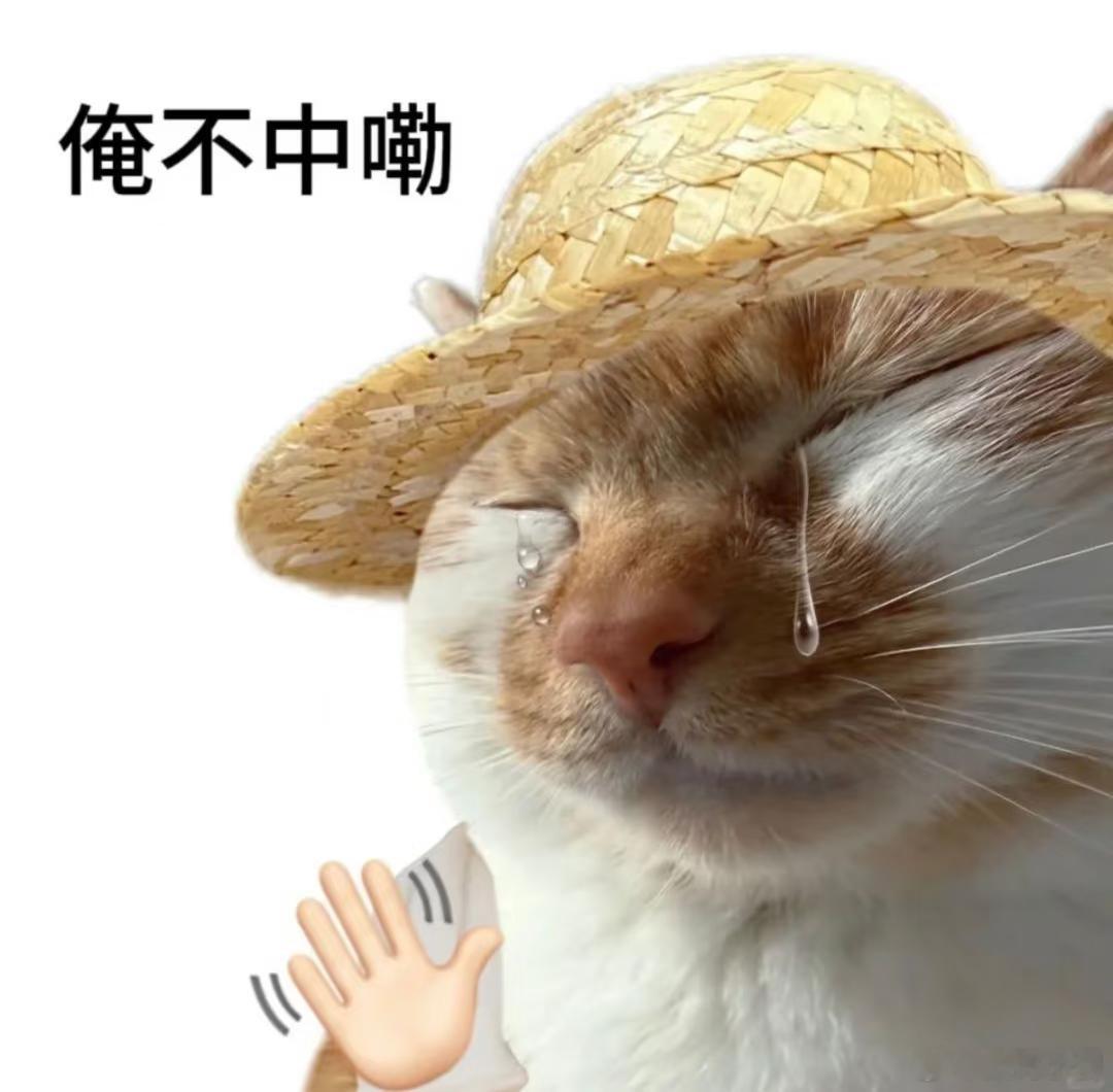 手机涨得快买不起了这次和以前那种行业周期性涨价不一样。以前涨价，过一年就跌回去。
