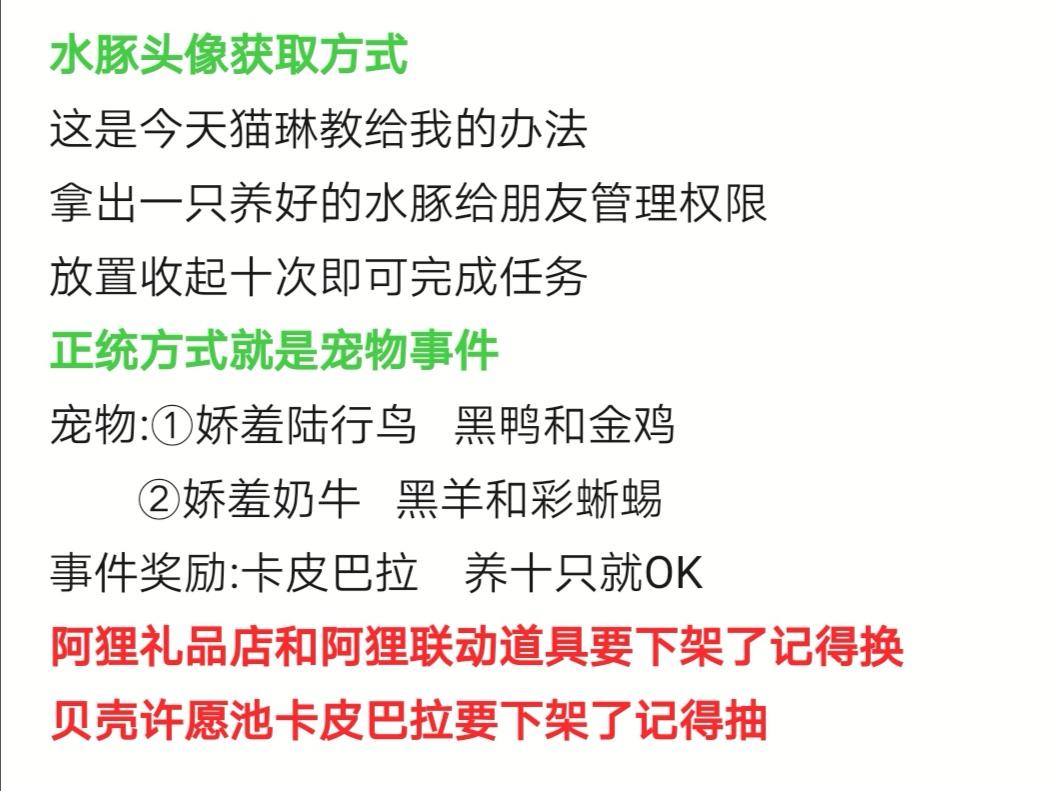 水豚头像文字版超简攻略 #创造与魔法寒雨澈 #创造与魔法水豚卡皮巴拉 #创造与魔
