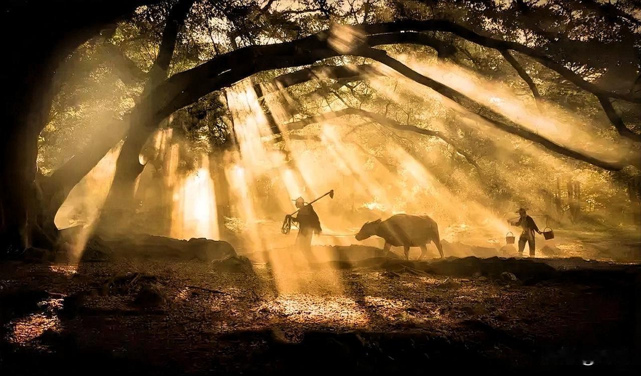 真正的善良，从来不是“人见人夸”
 
总有人觉得，善良就是处处讨好、人人满意，