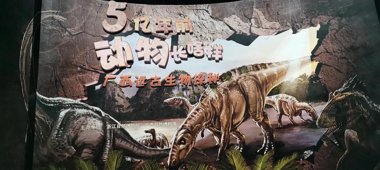 浙江自然博物馆的恐龙展，有广西挖掘出的恐龙哦，你看过没？