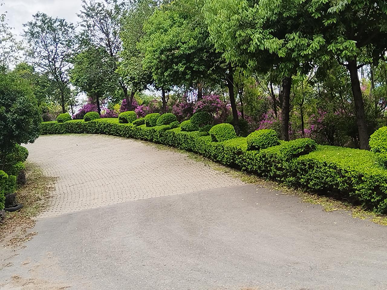 美丽的风景总是看不够