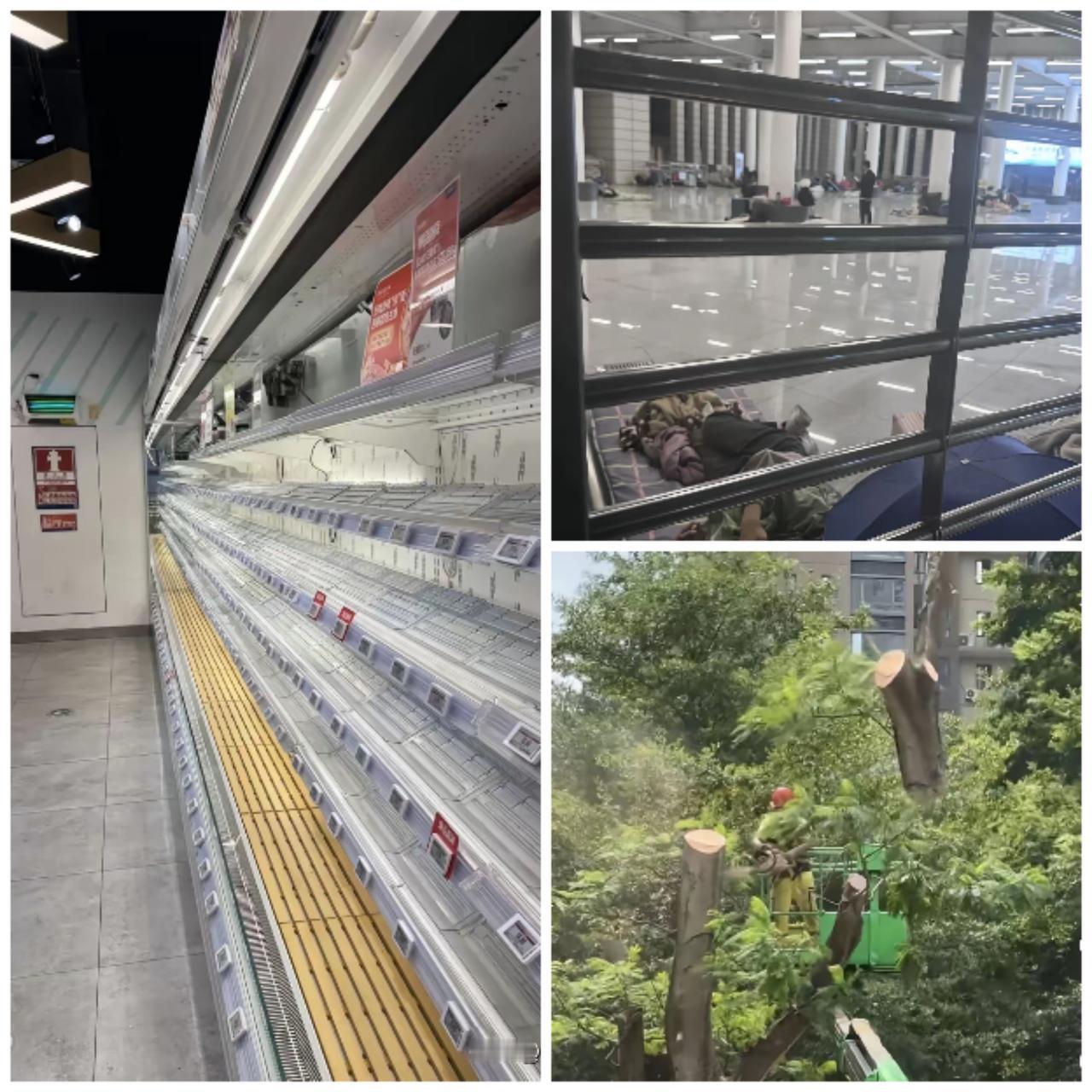 深圳人刚把超市搬空，
台风居然“爽约”了？
 
前几天深圳人忙到脚不沾地，路边的