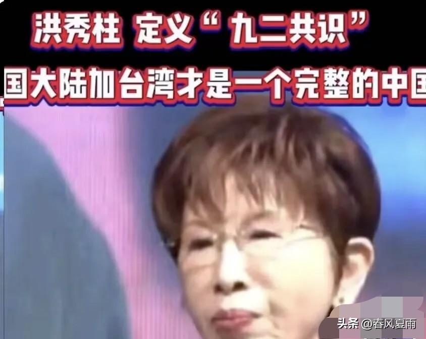 洪秀柱这波输出，听得我直接拍手叫好！占着窝不下蛋，还赖着不走？国民党主席就是这么