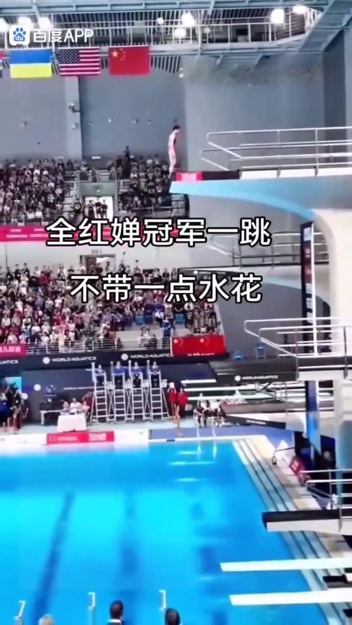 全红蝉冠军一跳，不带一点水花。