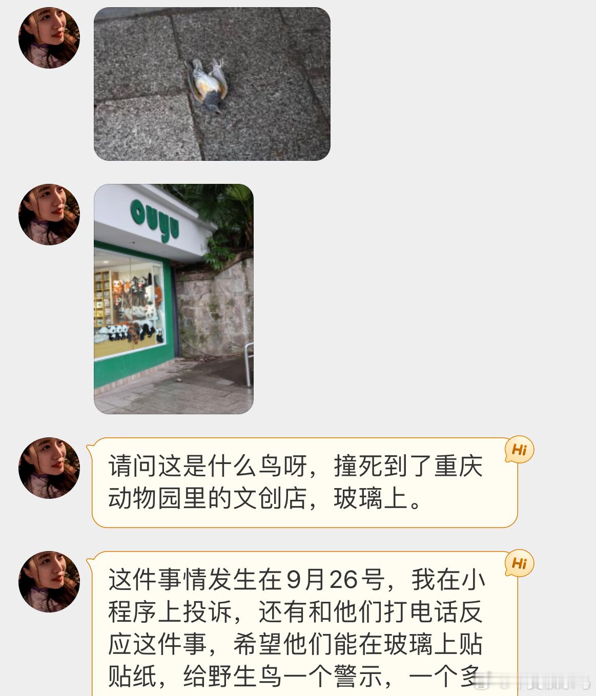 撞玻璃的鸟 撞玻璃的【黑胸鸫】它的嘴角流淌着鲜血当越来越多的人开始了解并关注到“