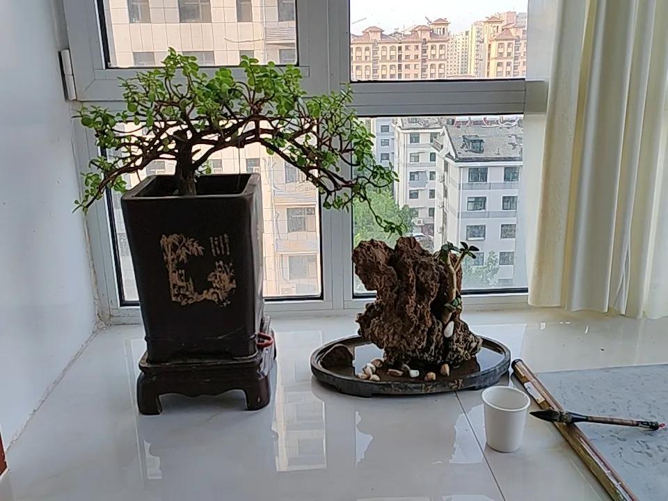 窗台上的花石，无需太多。关键在于搭配巧妙，营造出令人心旷神怡的效果，给人以美的享