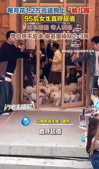 “人不如狗实锤了！上海95后女生每月砸1.2万送狗上‘贵族幼儿园’，还得排队抢名