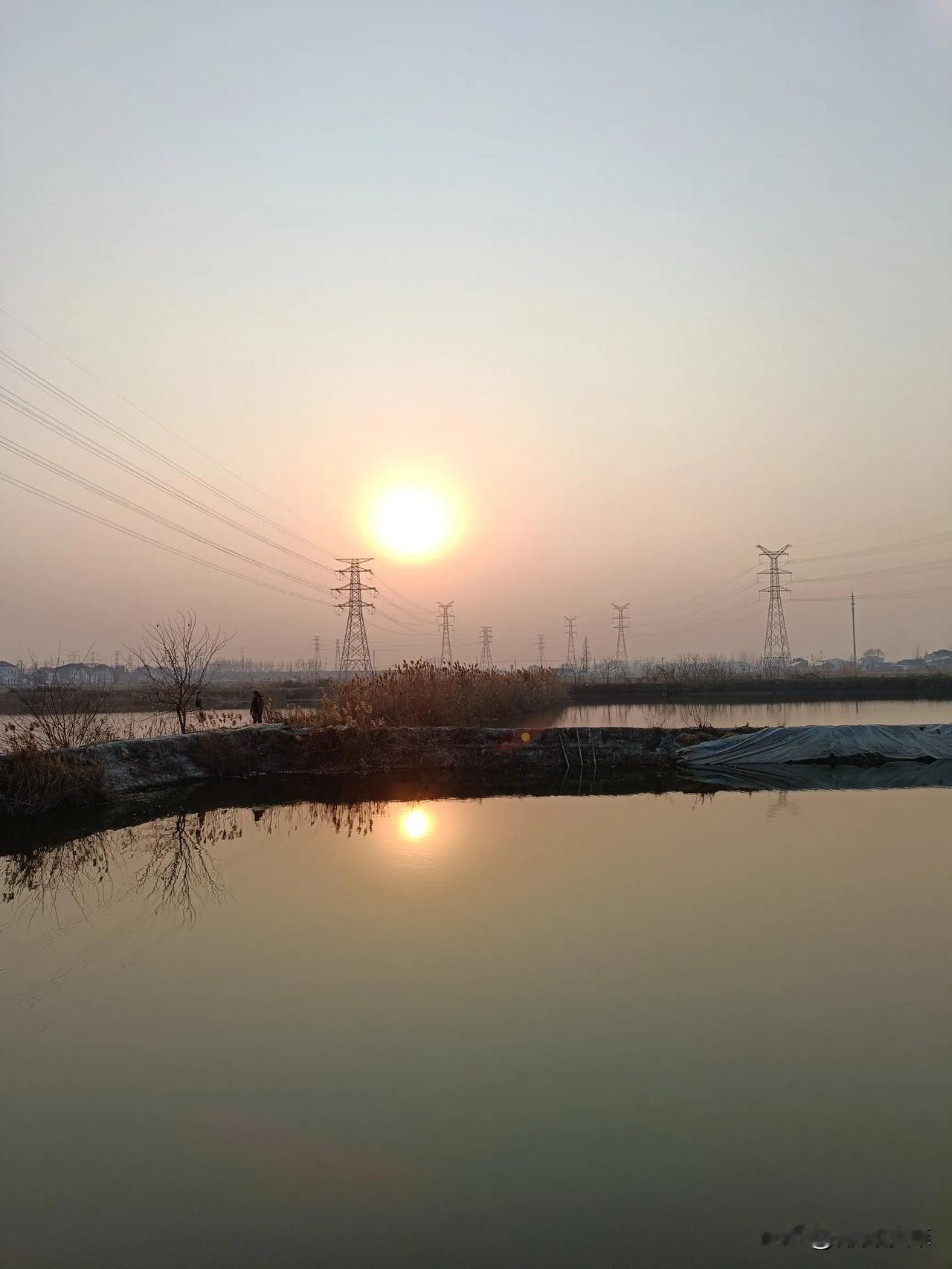 四九第三天，明天大寒了。没有觉得冷，很像二三月天气，地里的蔬菜绿油油的，没有被遮