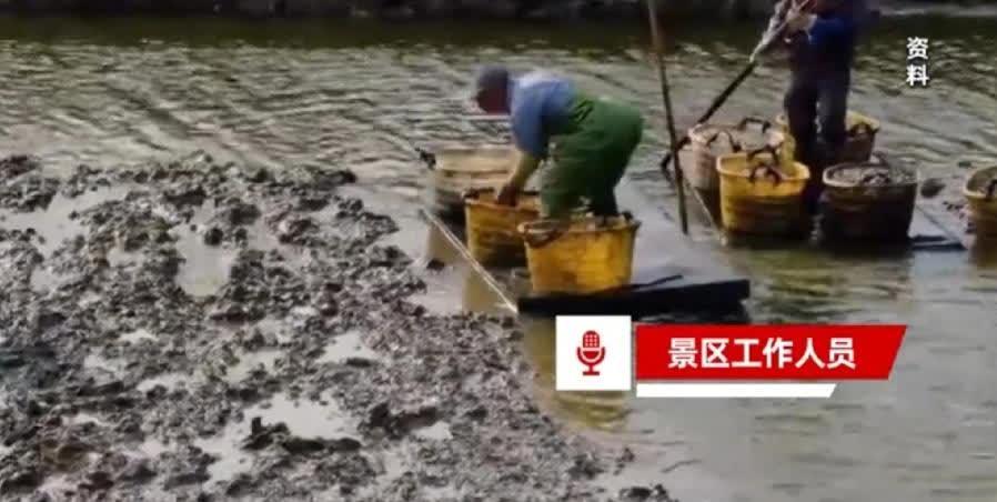 福建福州，一名游客带孩子在海边玩。不小心踩进村民的蛏田，村民以踩坏蛏苗为由，向游