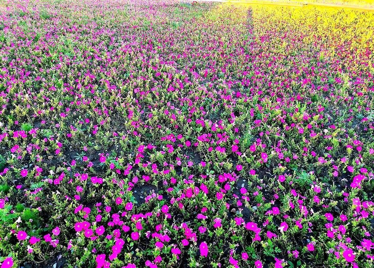 中年男人不靠颜值吃饭，靠的是不翻车的衣裳。
一件300块的针织开衫，能顶五件衬衫