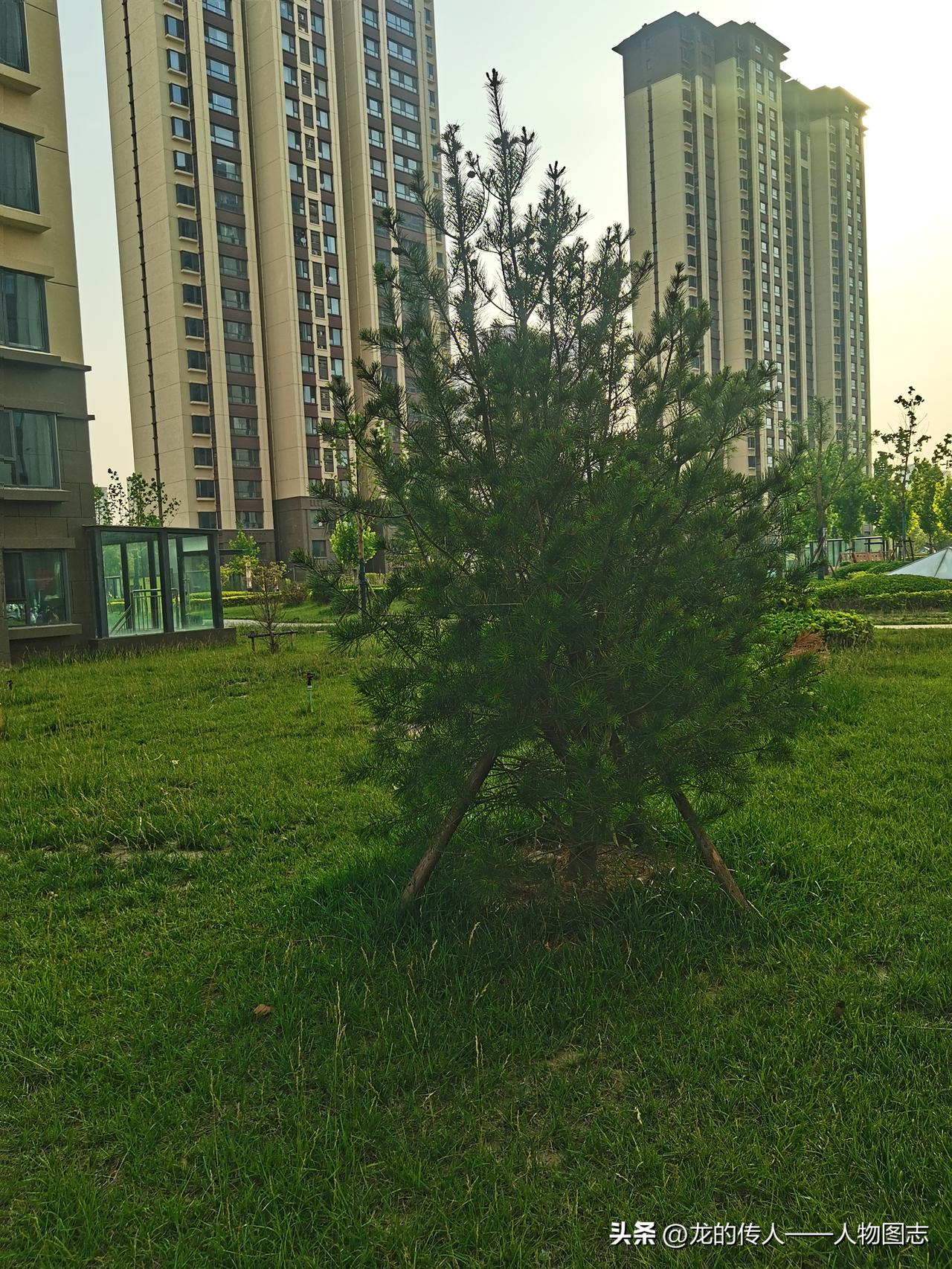 晒图笔记大赛