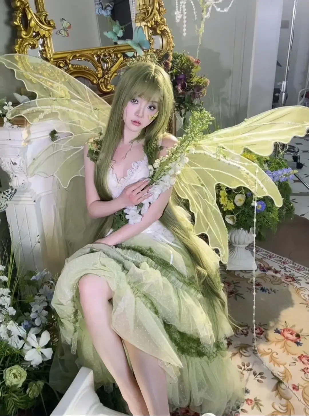 苔藓🌿少女