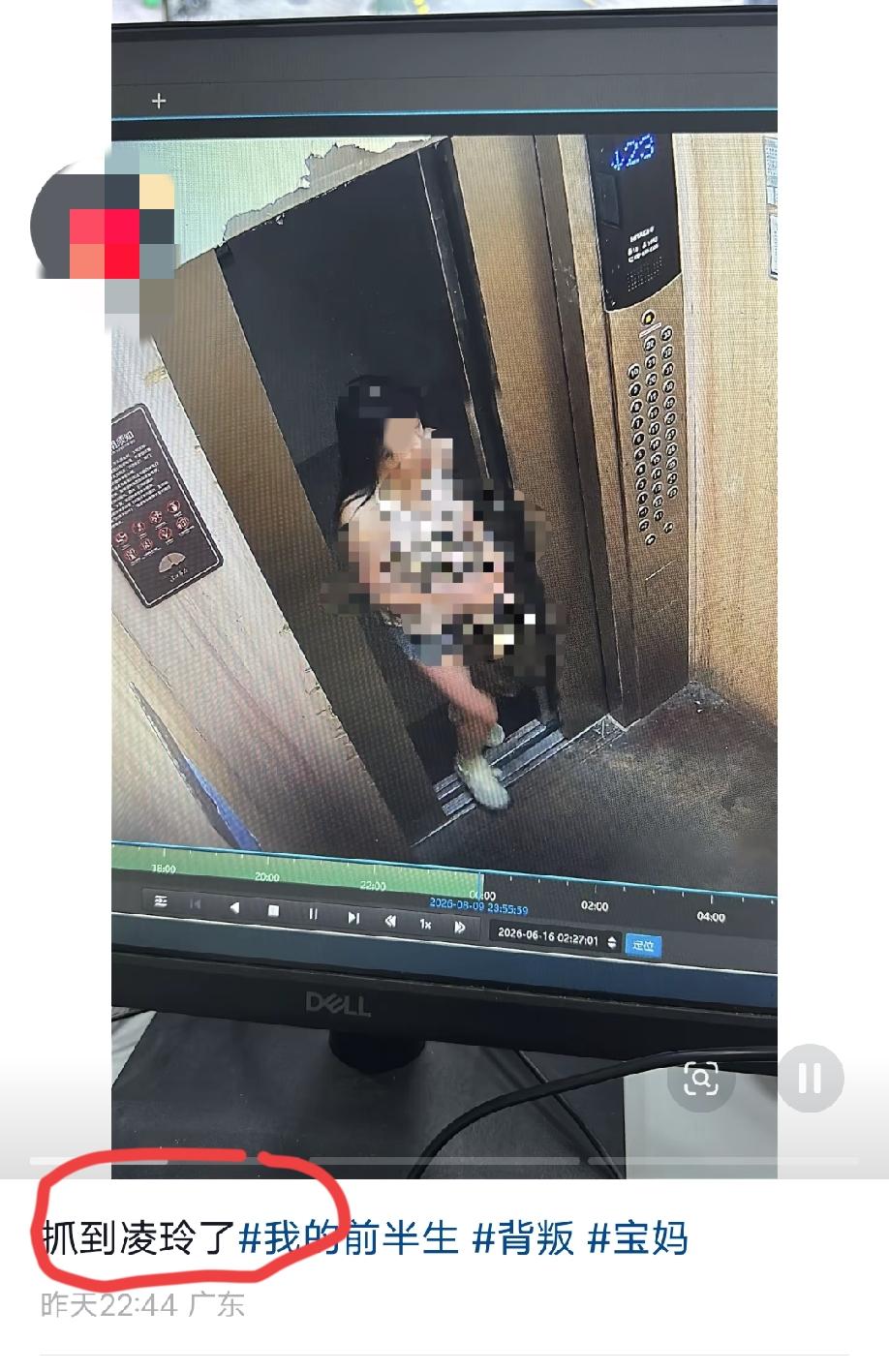 广东潮州，女子发视频爆料:抓到一只“凌玲”了！
从这个女的发布的几个视频以及评论