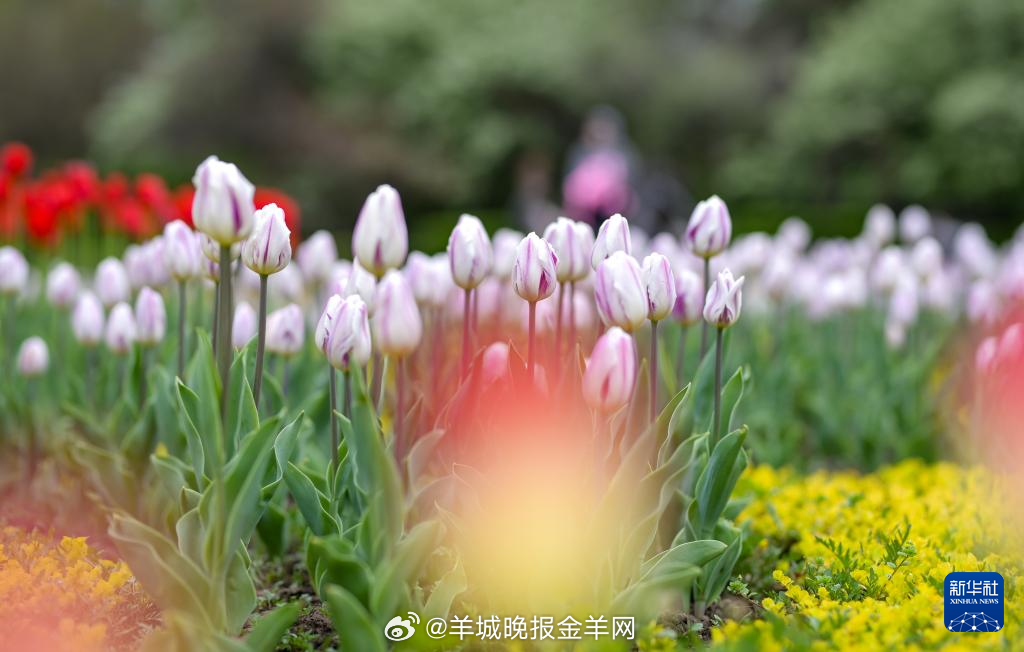 #晚安# 和言语温暖的人深交，就是养生养心。 ​​​