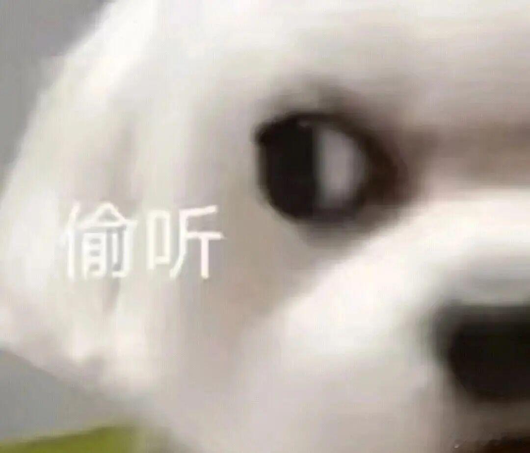 妈妈在杭州的买菜穿搭vs逛街穿搭我妈出门是真分得清场合买菜主打舒服随性，怎么方便