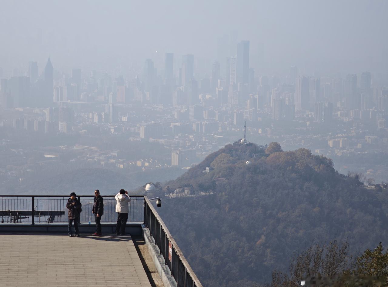 在网络上看到一位年龄60的女士一人开车在西藏旅行，撞上了人家的羊后等报警等待处理