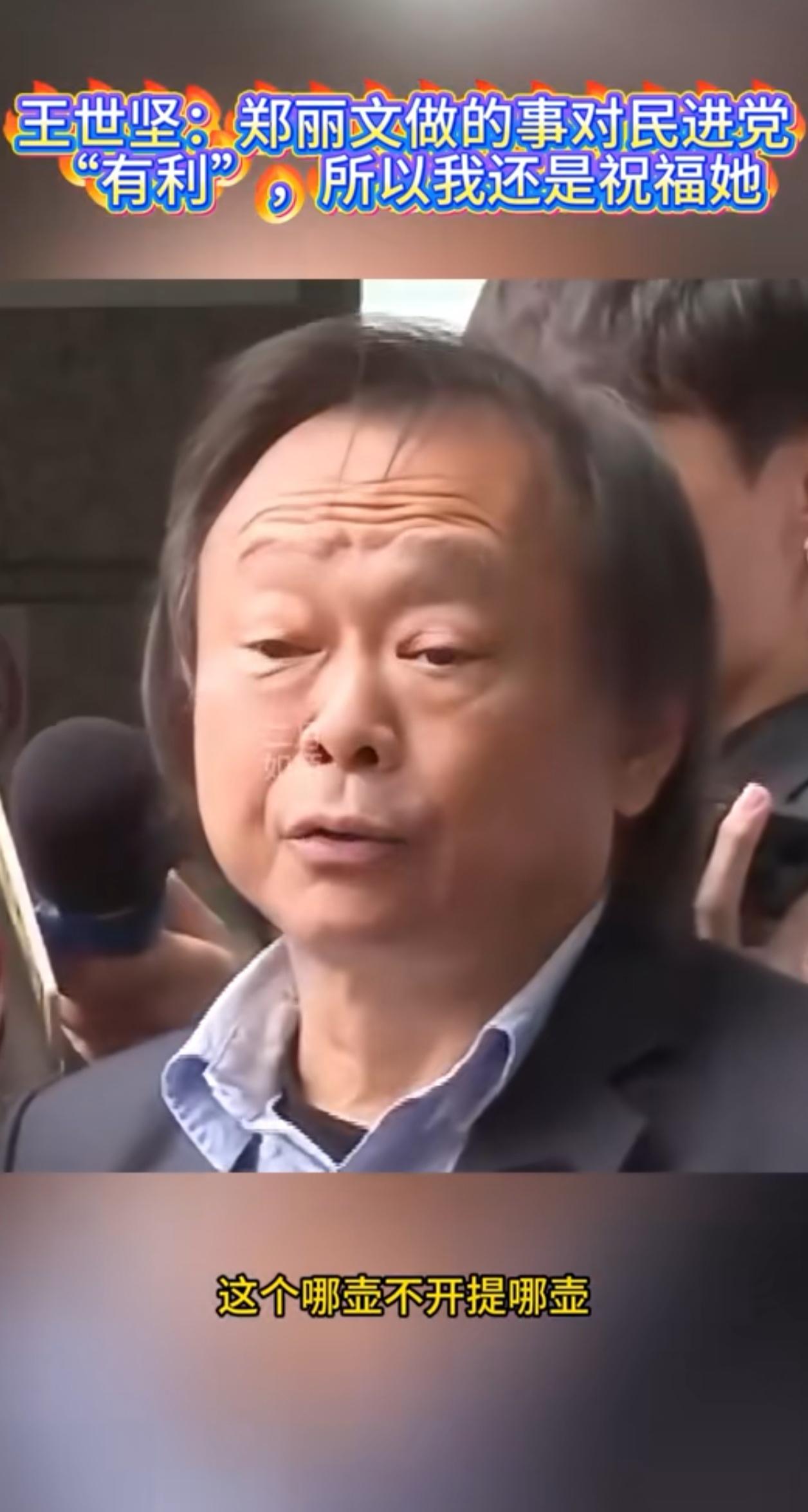 郑丽文访陆对于台湾，就好像一个炸弹扔进粪坑里，激起了一大堆臭不可闻的便便。王世坚