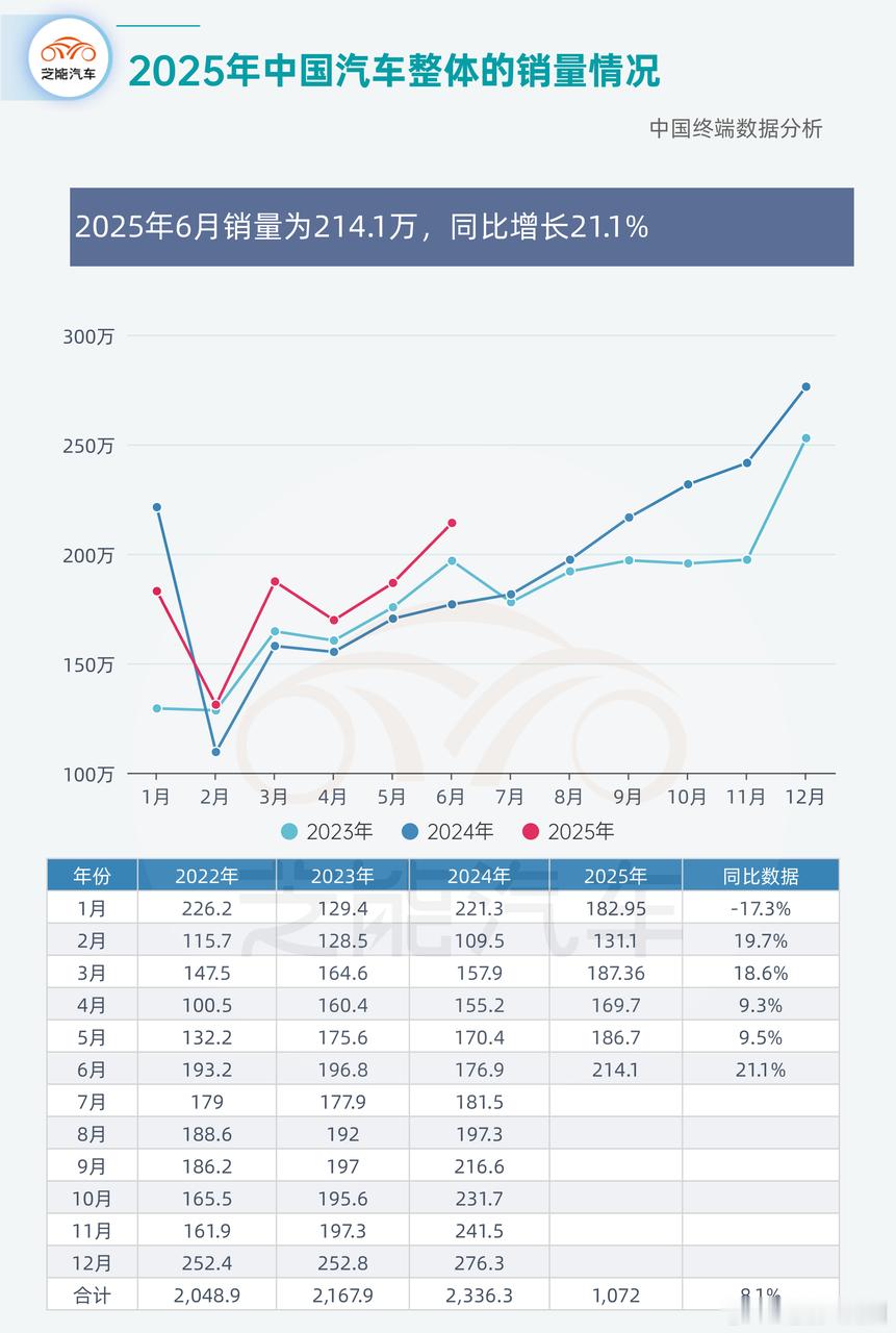 2025 年上半年汽车销量超千万，同比增长，6 月销量表现突出。市场分化明显：自