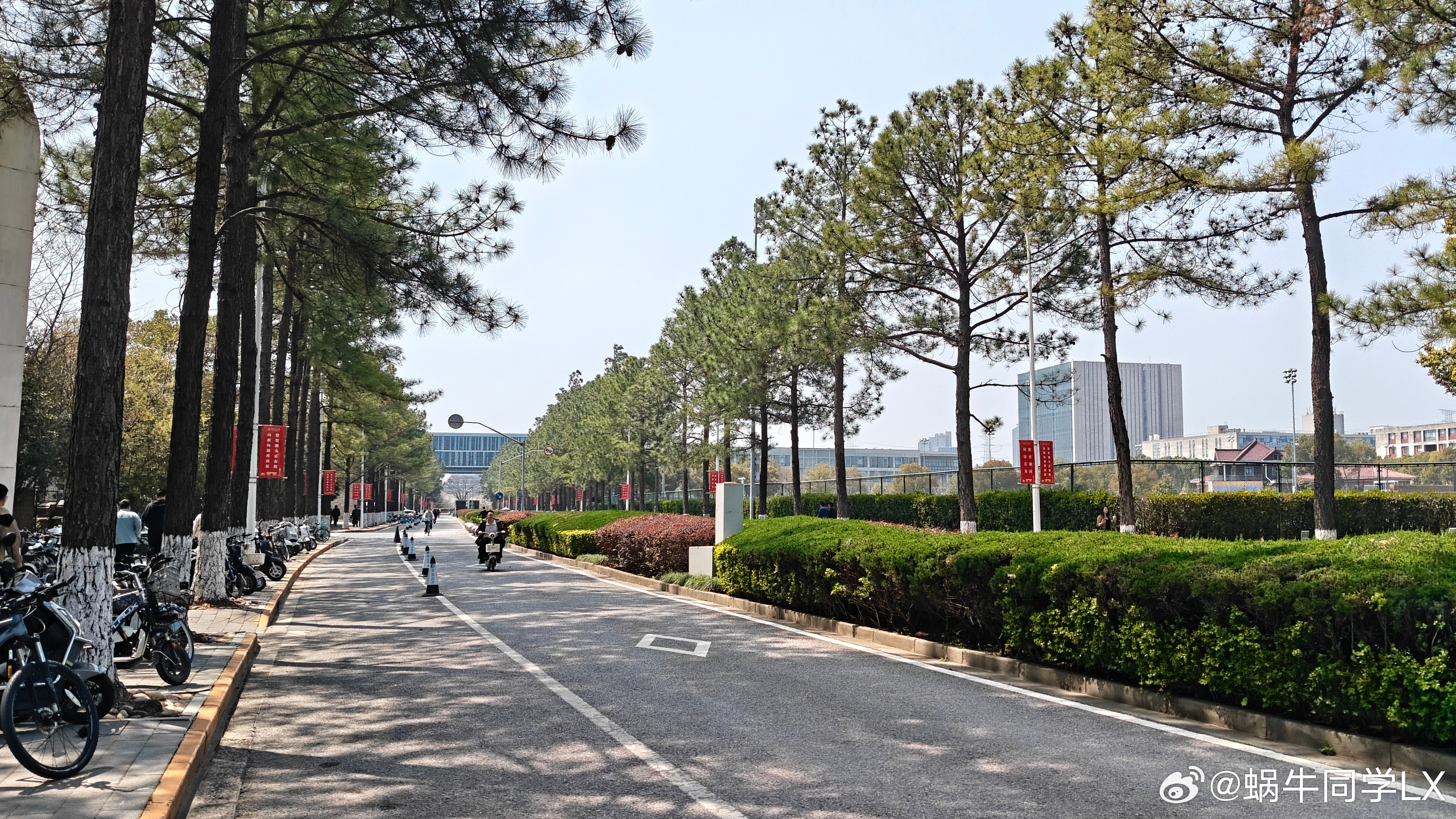 大家早，又是新的一周！重回大学校园，恍如隔世，仿佛又回到那个白衣飘飘的时候。同济