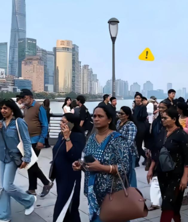 国家的百年大计，绝不能毁在一群蛀虫手里！现在只要一提"国际化"、"与国际接轨"，