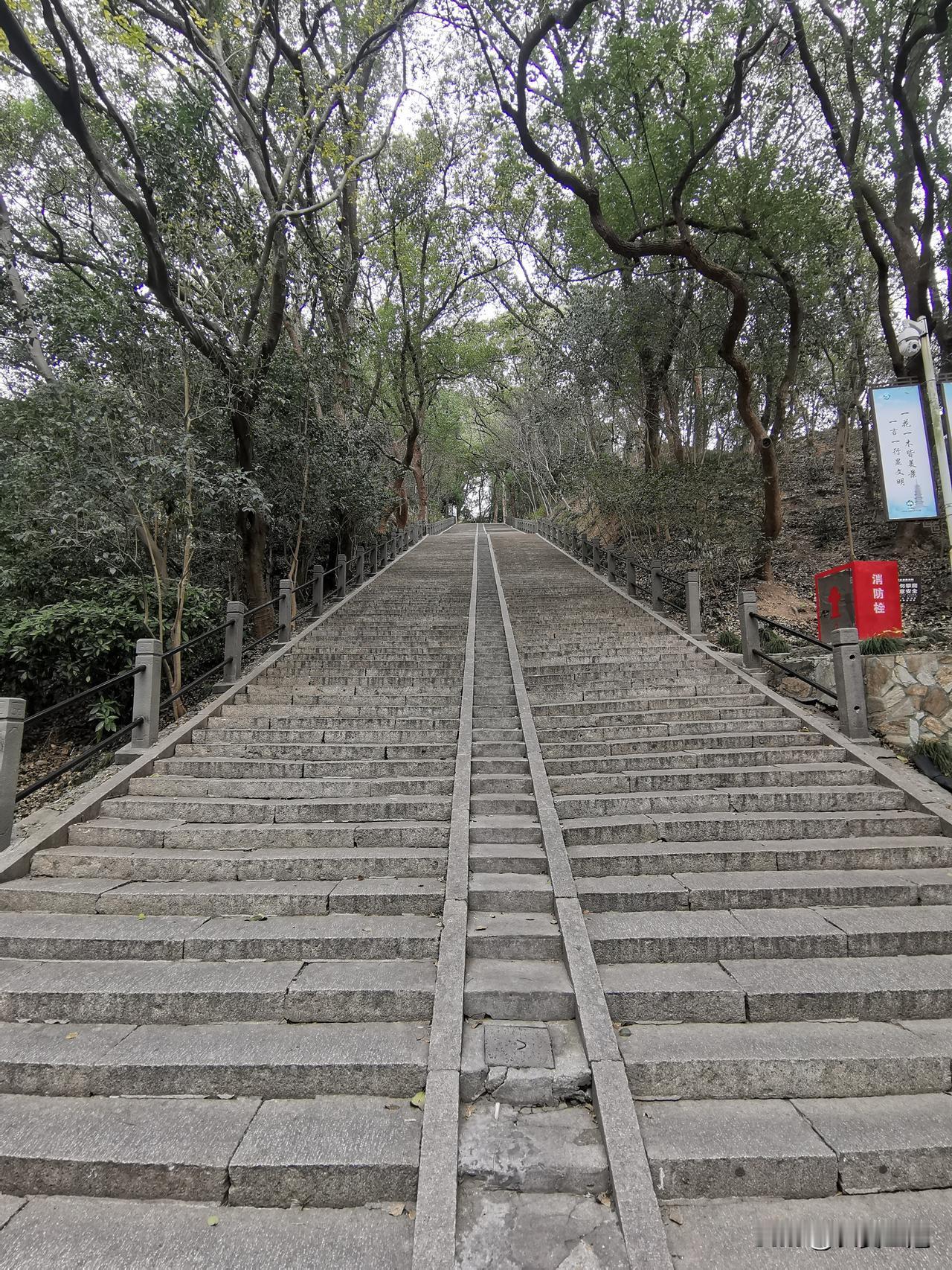 佘山，大自然的造化，上海一马平川，最缺一个山。大平原上冒出一个佘山，尽管不高，但