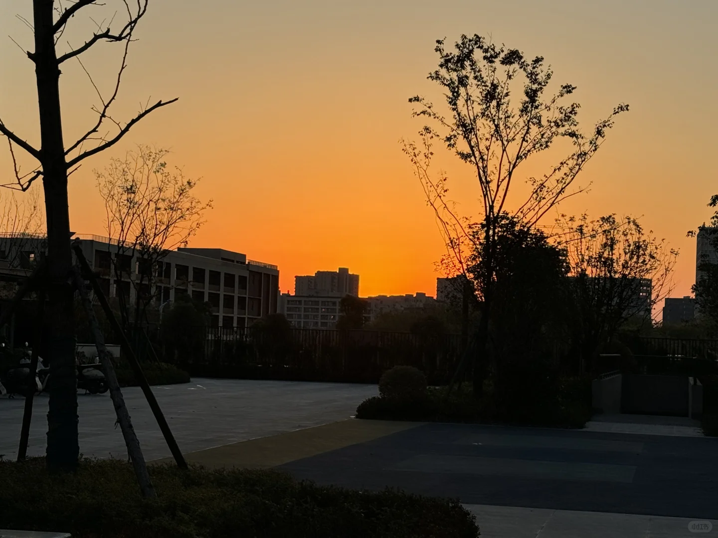 拧巴的人本身就很难幸福