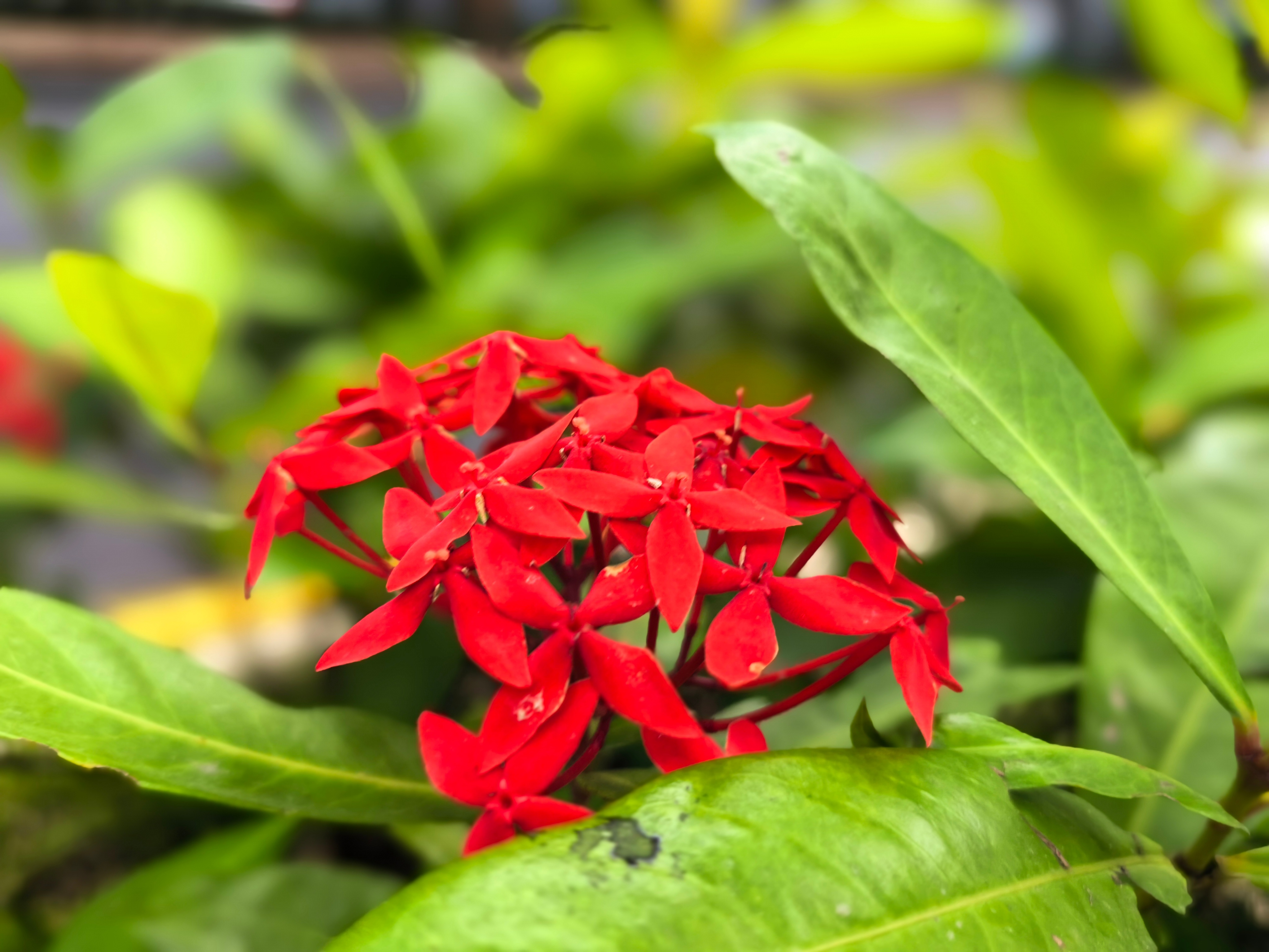 闲话投资1176孙子曰：善战者，立于不败之地，而不失敌之败也。个人随笔：1. 在