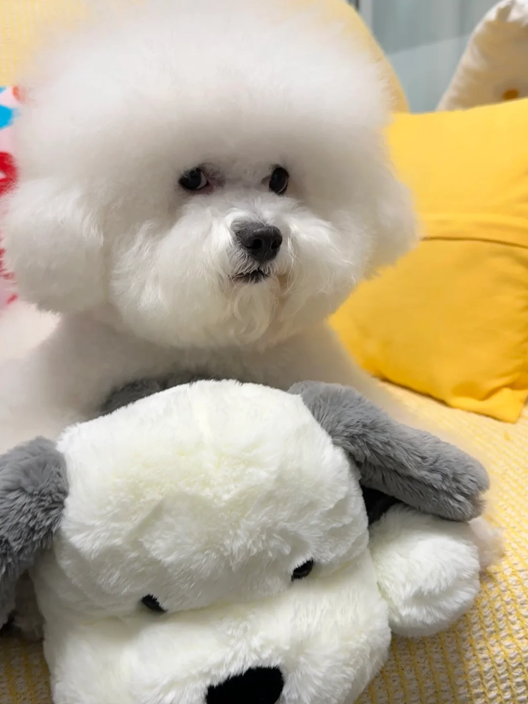 就你会翻白眼是吧