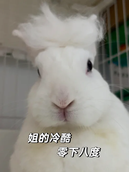 新发型