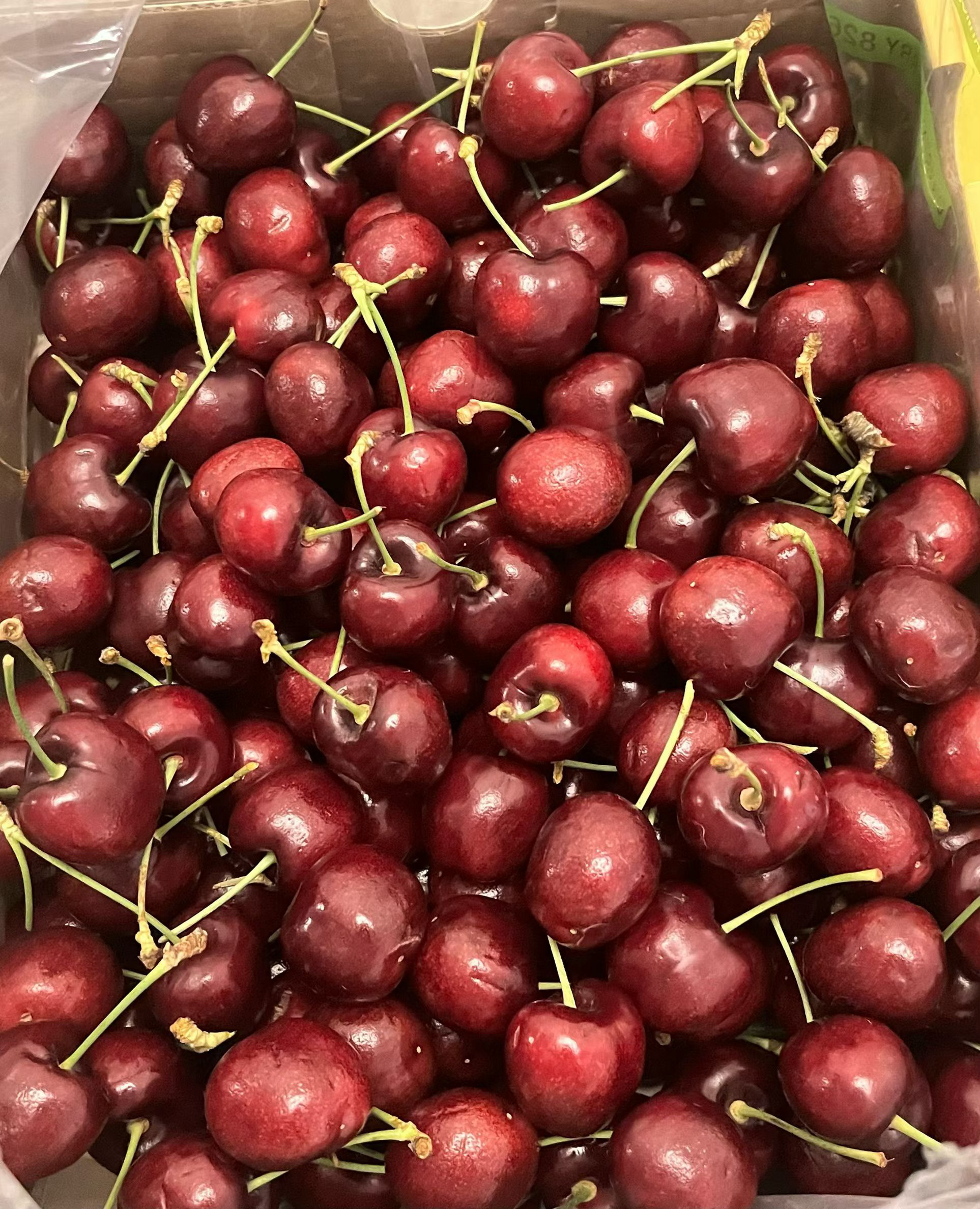 车厘子价格已大跌 今年的车厘子确实便宜，今天又买了一箱，实现车厘子自由哈哈哈哈哈