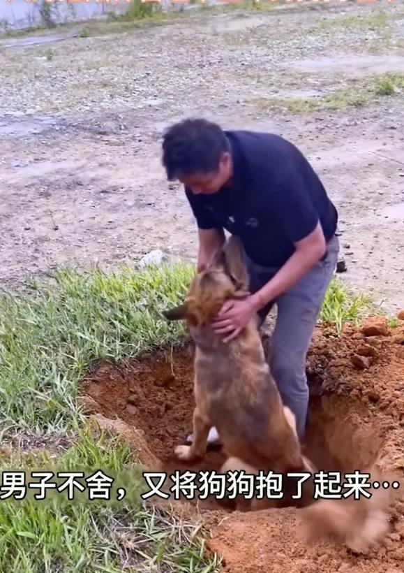 男人抱着僵硬的大黄，蹲在刚挖好的土坑前，手指一遍遍蹭过它耷拉的耳朵。

我是老李