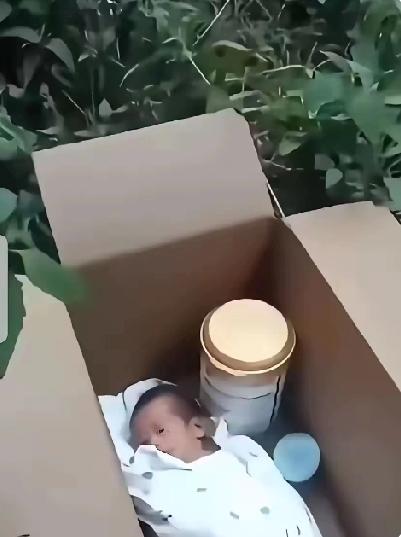 早高峰的车流里，纸箱裹着的微弱哭声，差点就被喧嚣吞没。
 
幸好陈师傅路过，没有