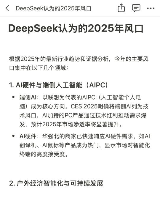 DeepSeek认为的2025年风口，怎么说？