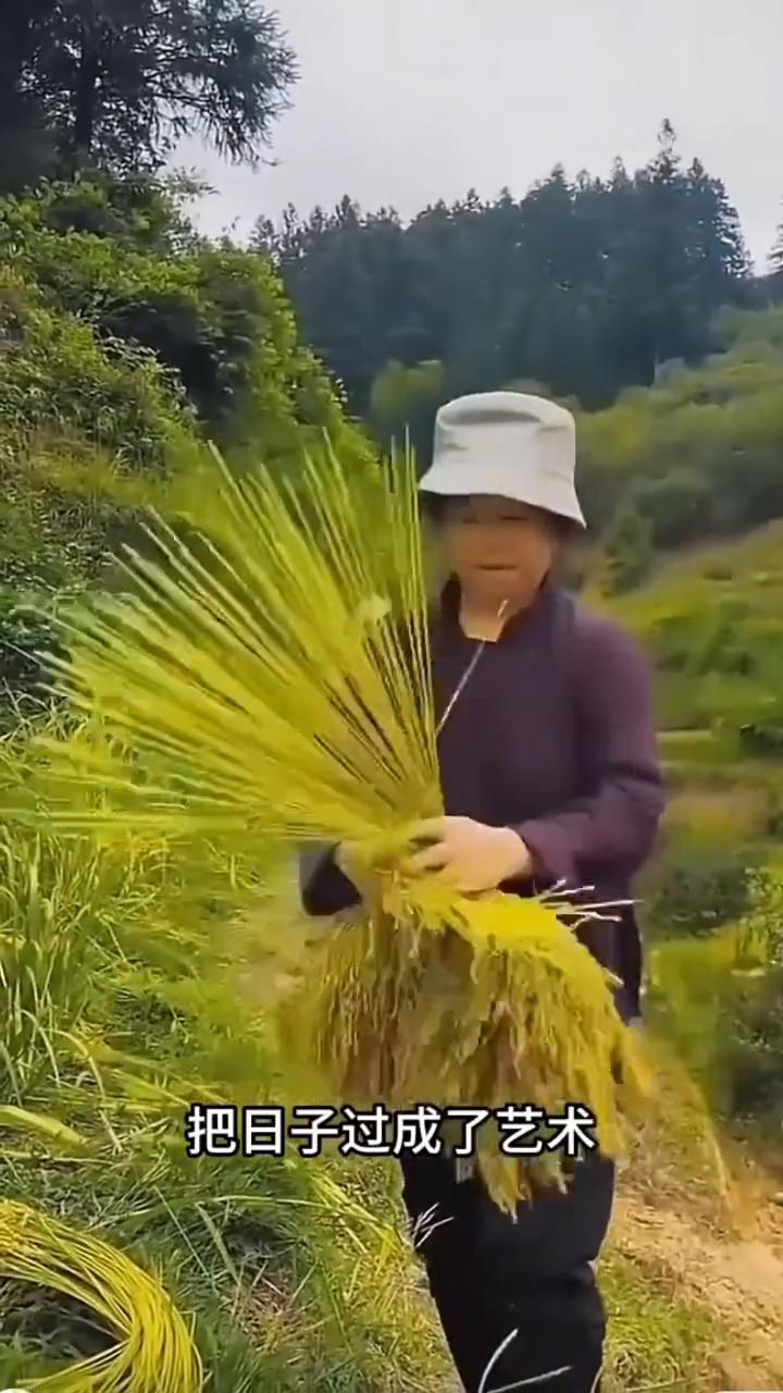 注意看，这阿婆的手艺简直是把日子过成了艺术。瞧她那双布满皱纹的手，信手拈来就是一