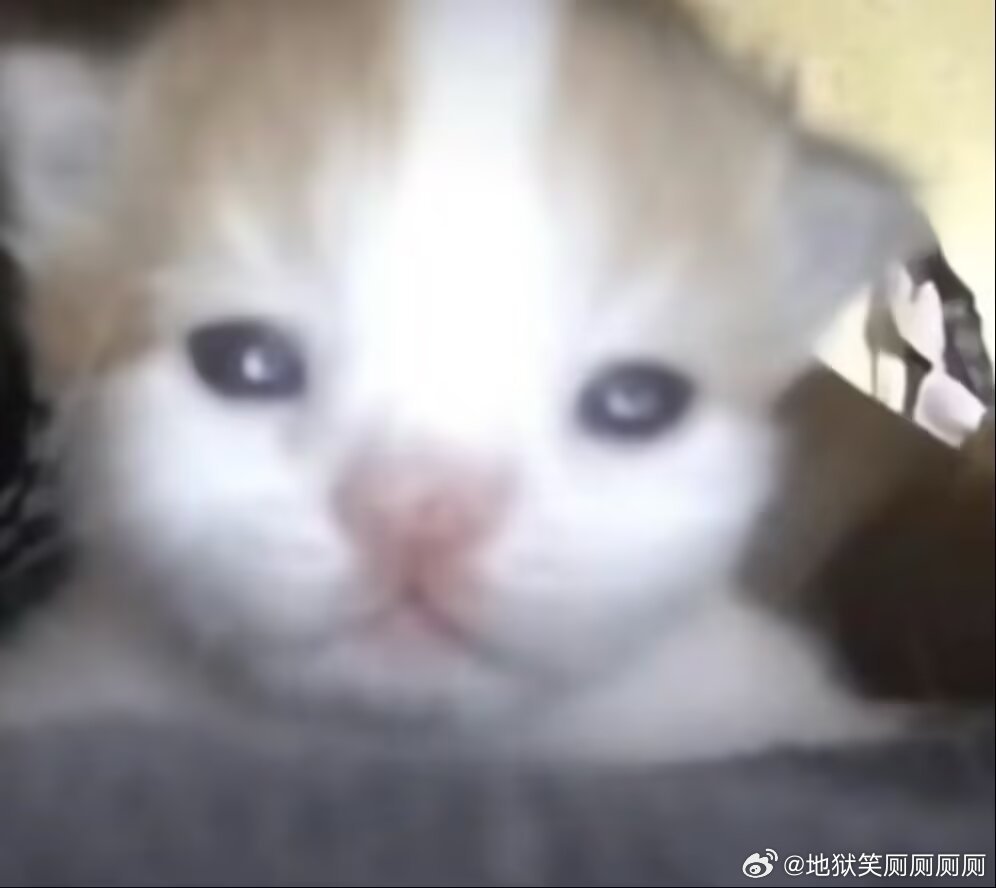 1908我忧郁的眸中溢满了痴呆 