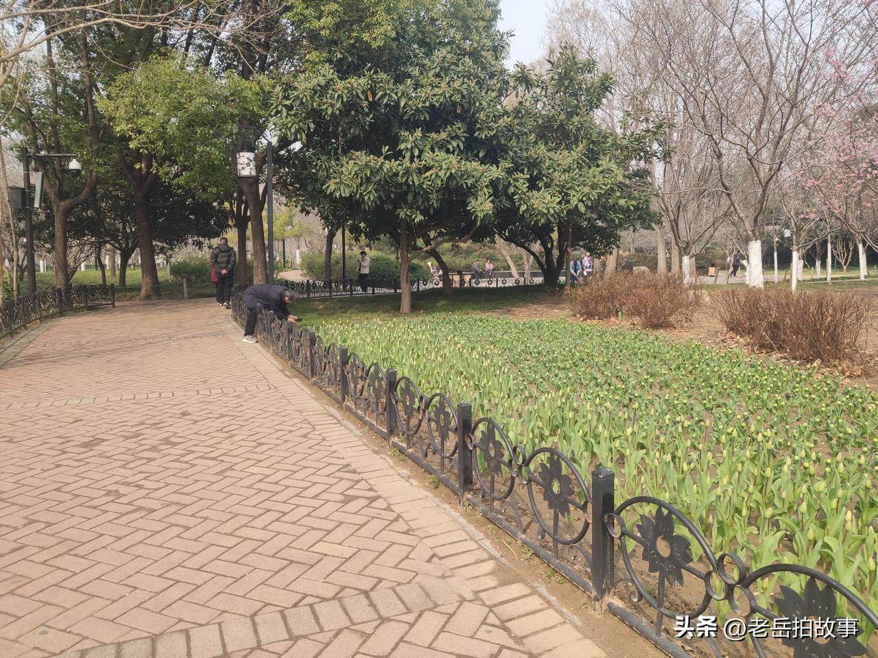 刚刚下楼去送小家伙上幼儿园，在电梯里遇到楼上邻居，他说咱这个楼还是风水宝地嘞，我