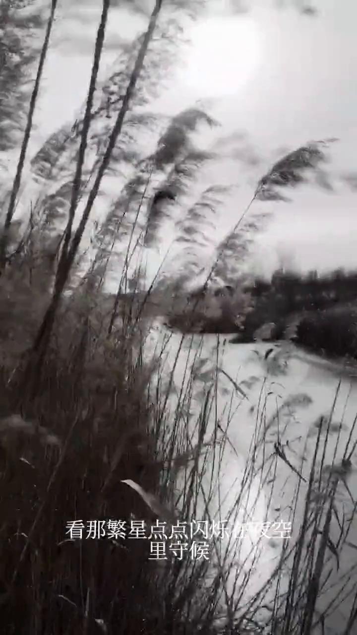 有风无风皆三由，心之所向便是。哪怕前路有迷，也不必为谁停。做一只飞鸟一朵云，把所