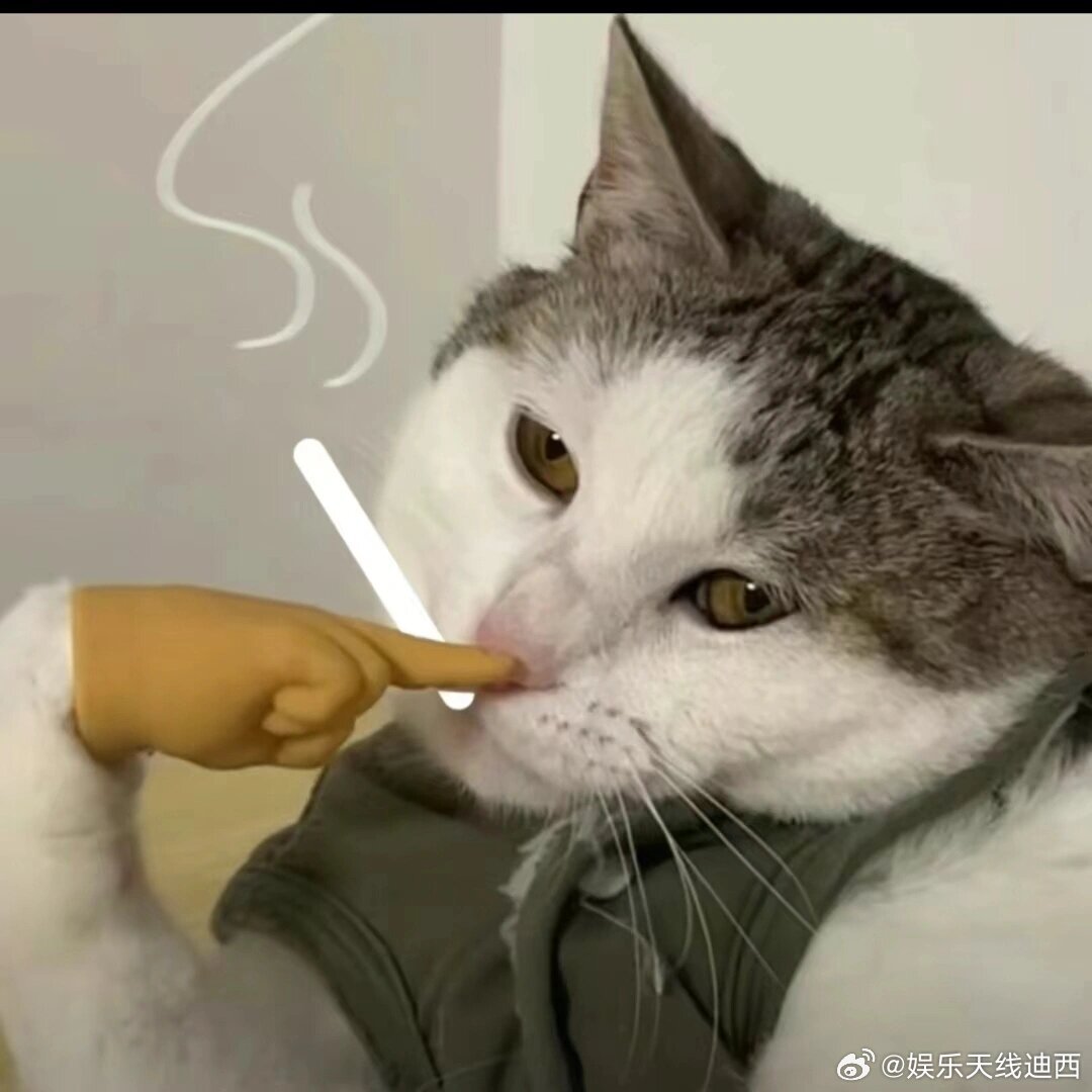 《朝雪录》最应该道歉的难道不应该是我们观众吗？还有广大劳动人民！像这种剧以后别拍