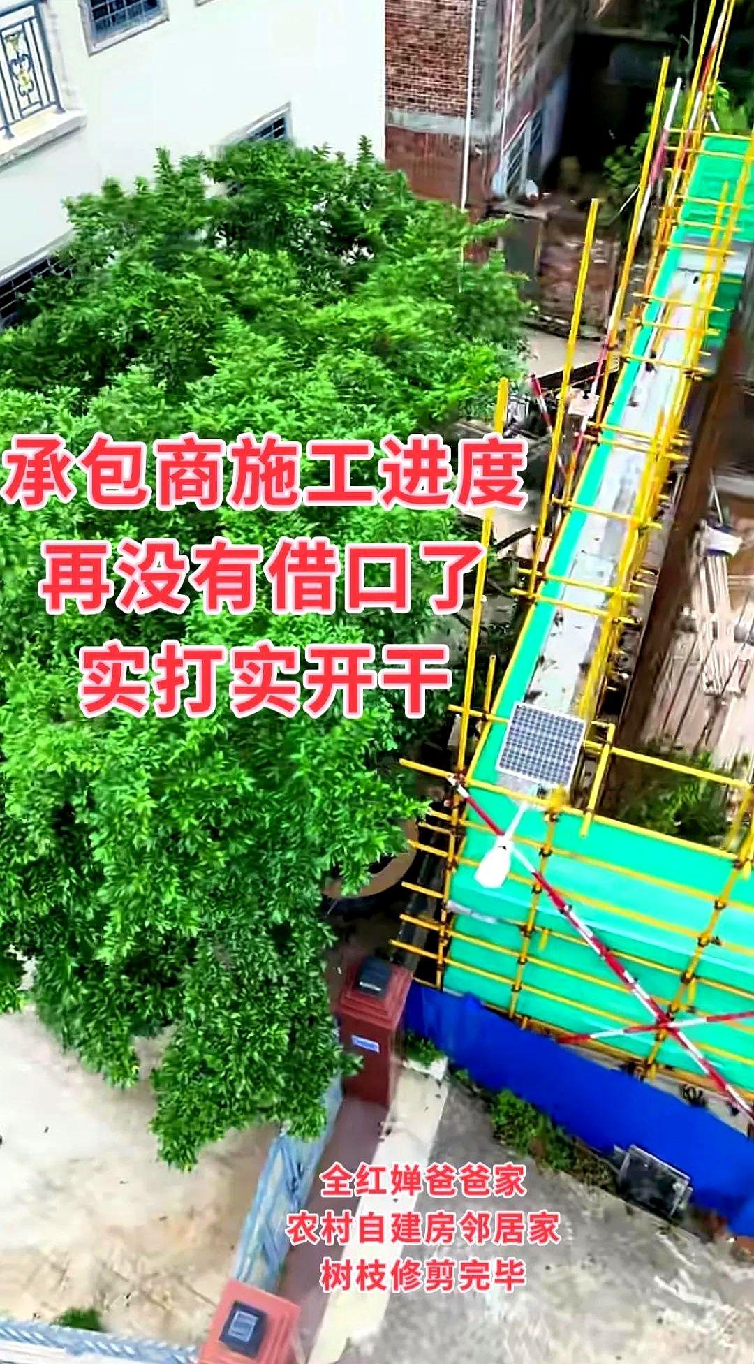 格局打开，非常好的邻居。

树枝已修剪，不会影响施工了，今天开始，全红婵爸爸家农