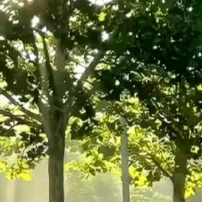 000000能为别人开花的心是善良的心，能为别人缤纷的赞美是真诚的情，能为别人的