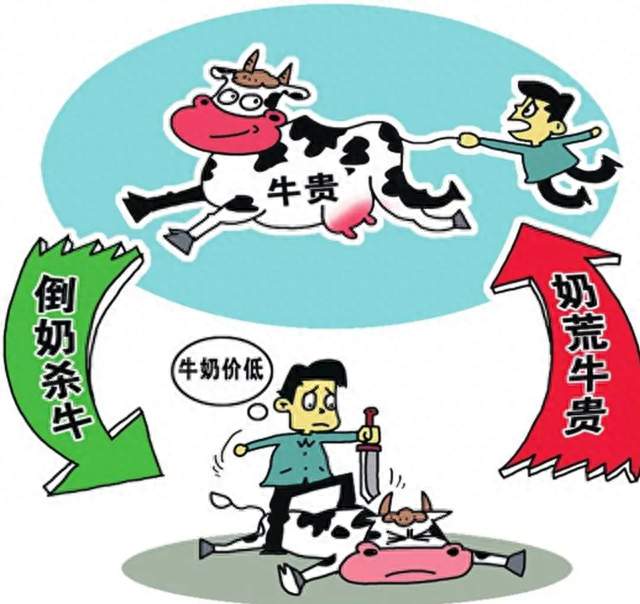 海外行情风起，养牛户该何去何从