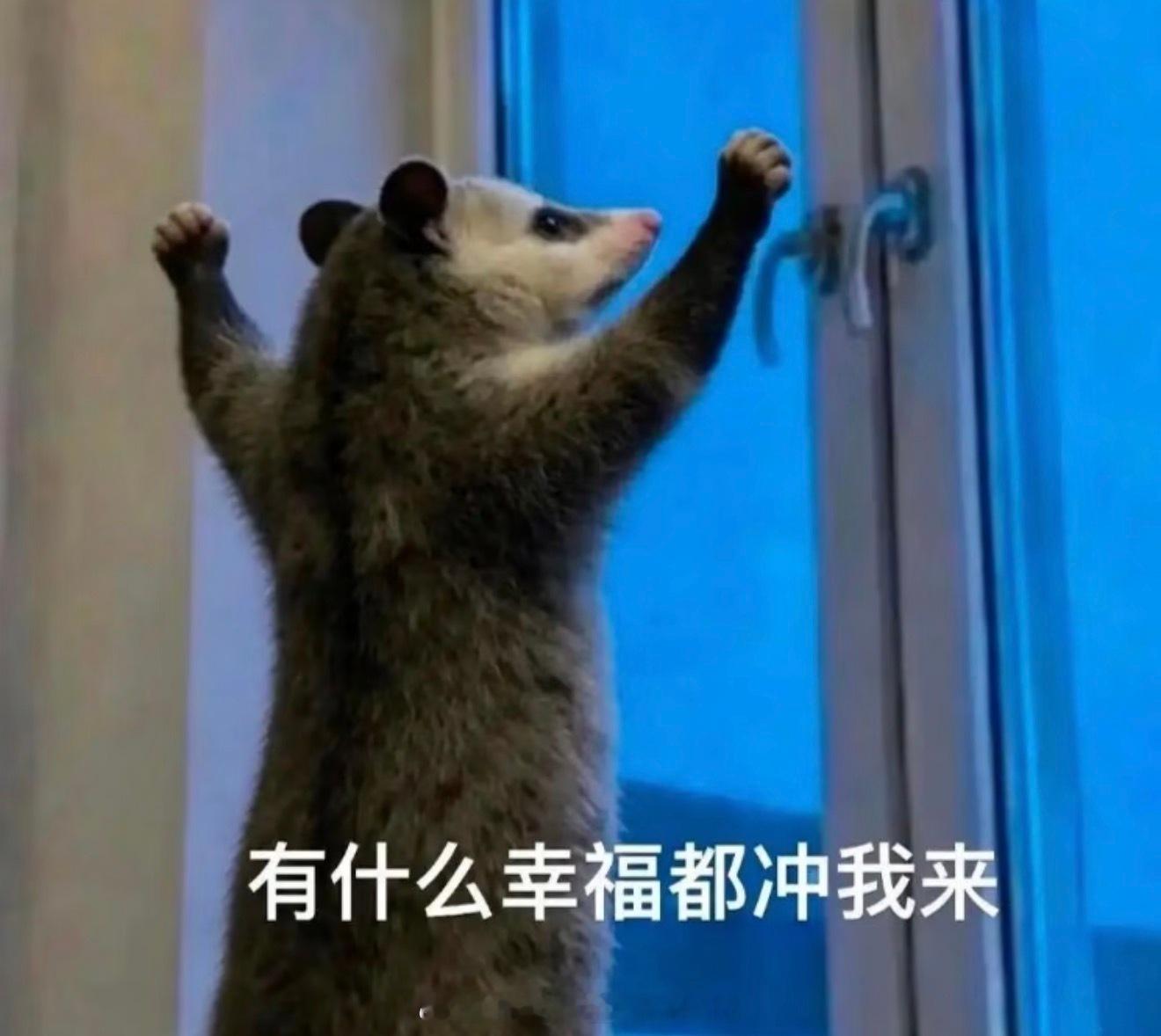 好运来