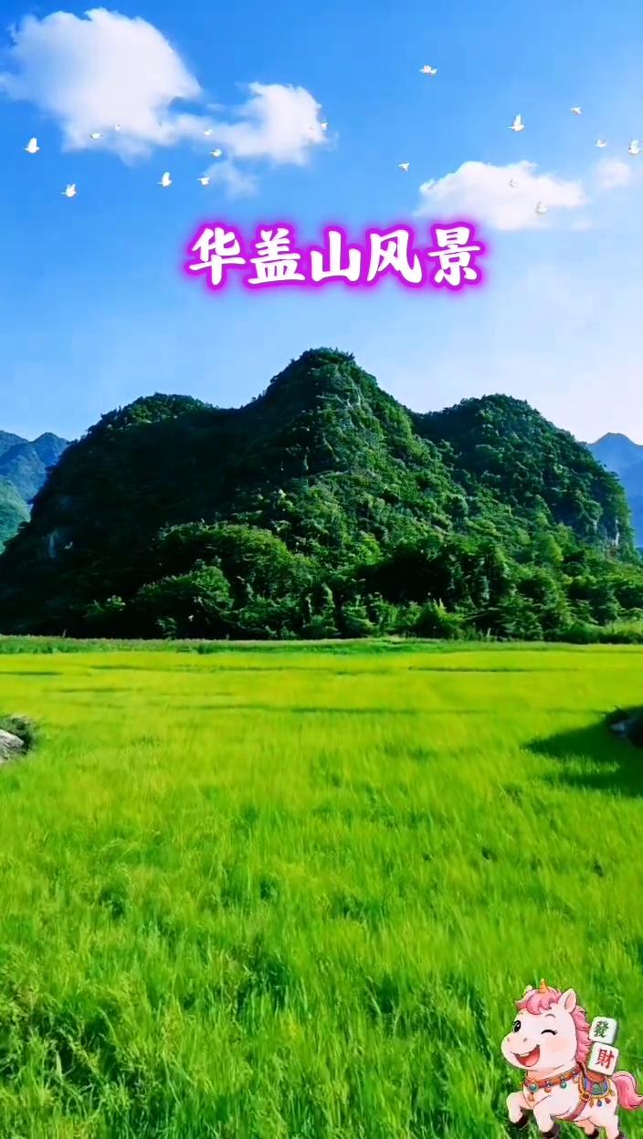 华盖山风景。
刑部尚书。