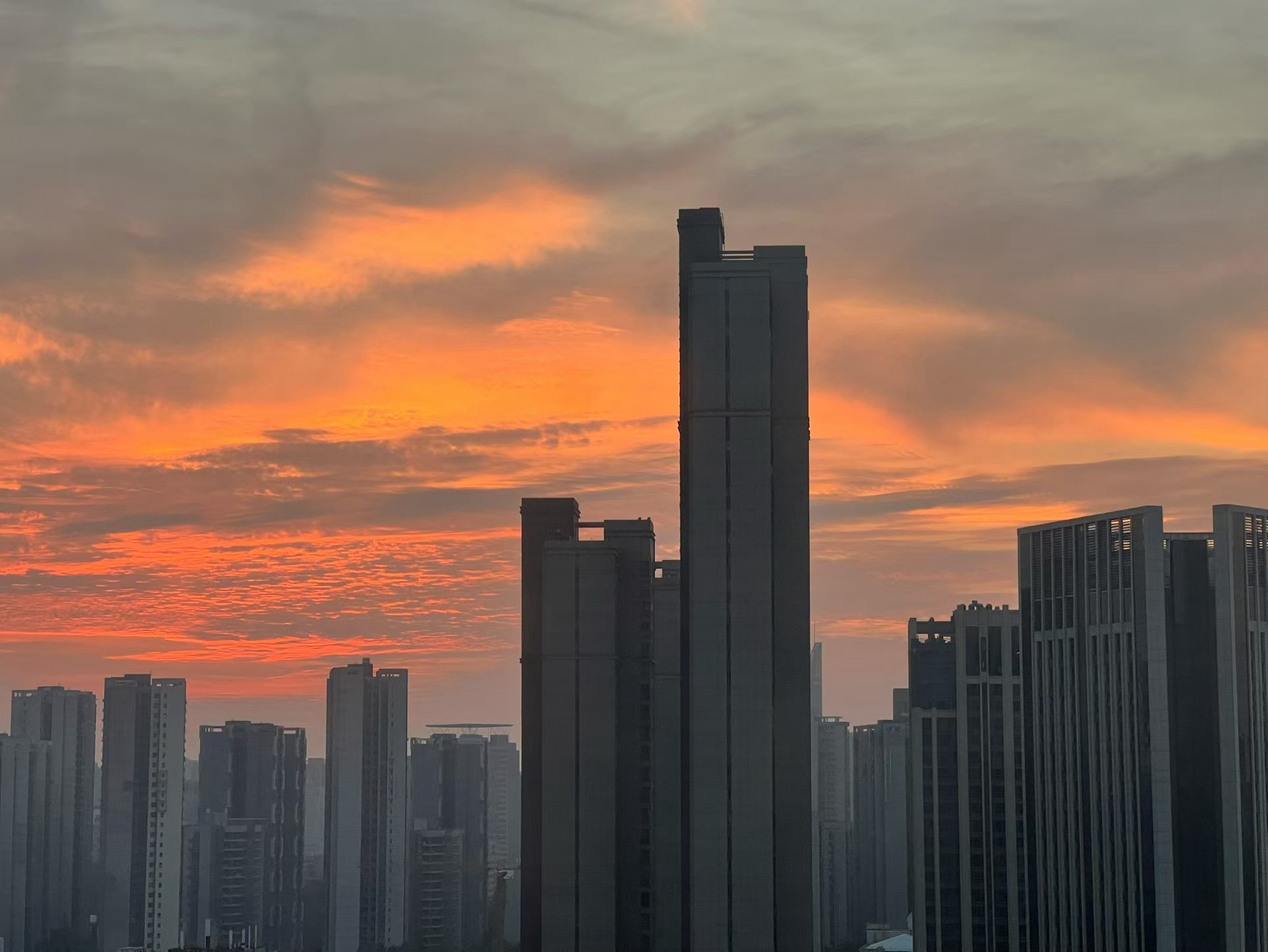 清晨限定权仔的日常